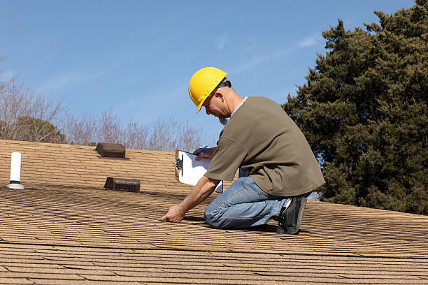 Best Gutter Installation and Repair  in Lutz, FL